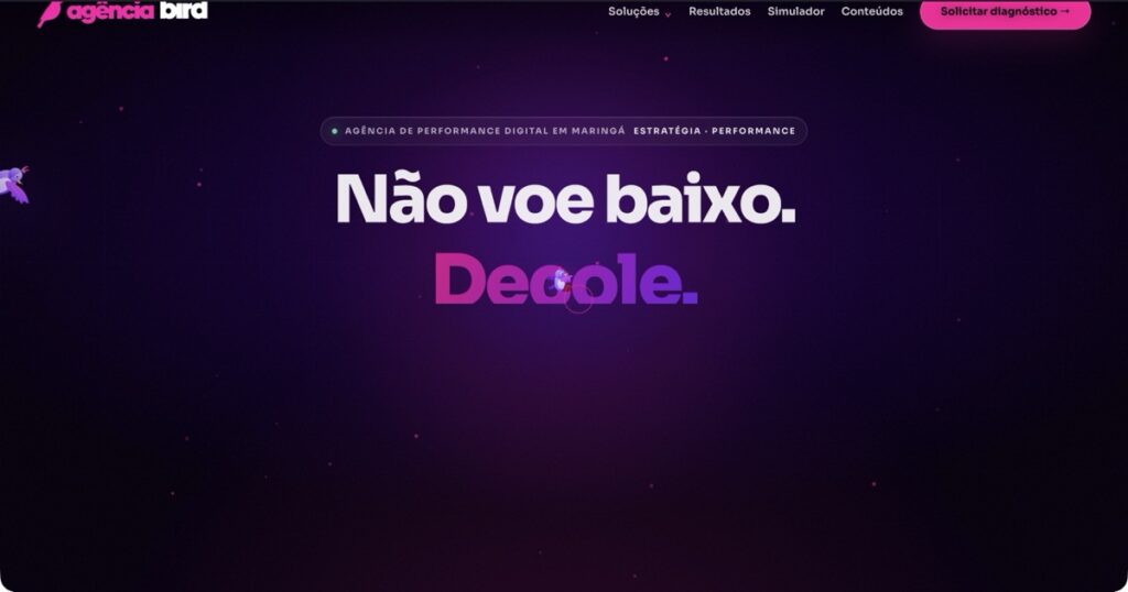 Agência Bird de performance digital em Maringá — Não voe baixo. Decole.